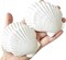 30PCS Natural White Scallop Sea Shells 2–3 Inch Bulk Set, Real Seashells for Crafts, DIY Painting, Beach Wedding Decor, Candle Making, Ocean Theme Party & Coastal Home Decoration